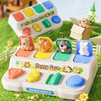 Boîte Mécanique des animaux - Maison L&D