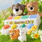 Boîte Mécanique des animaux - Maison L&D